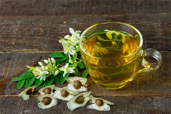 6月に観葉植物を外に出す方法：成功させるコツと避けるべき植物5選